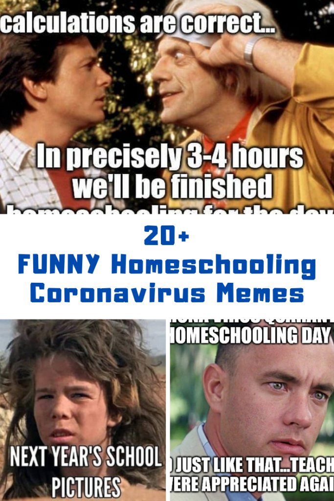 20 Funny Homeschooling Quarantine Memes Internet Quotes
