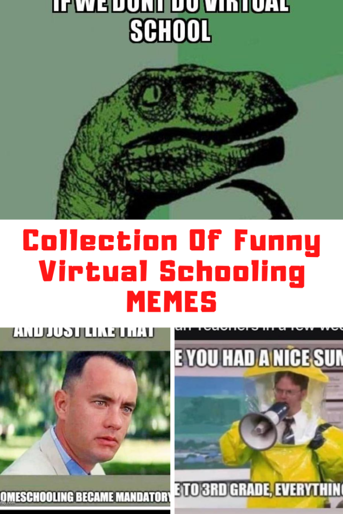 Virtual School Memes