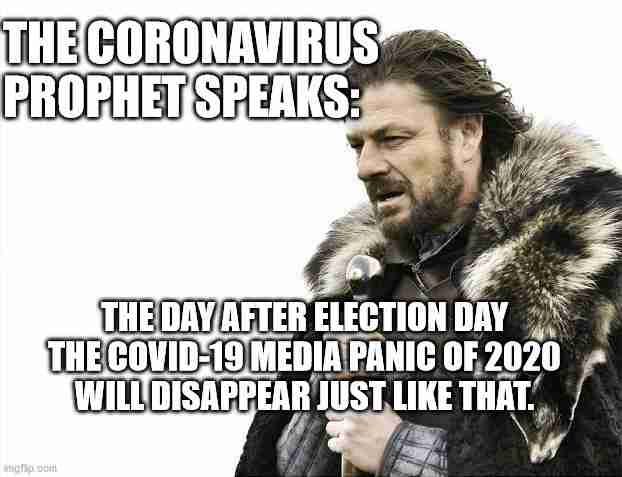 Election Day 2020 Memes 15