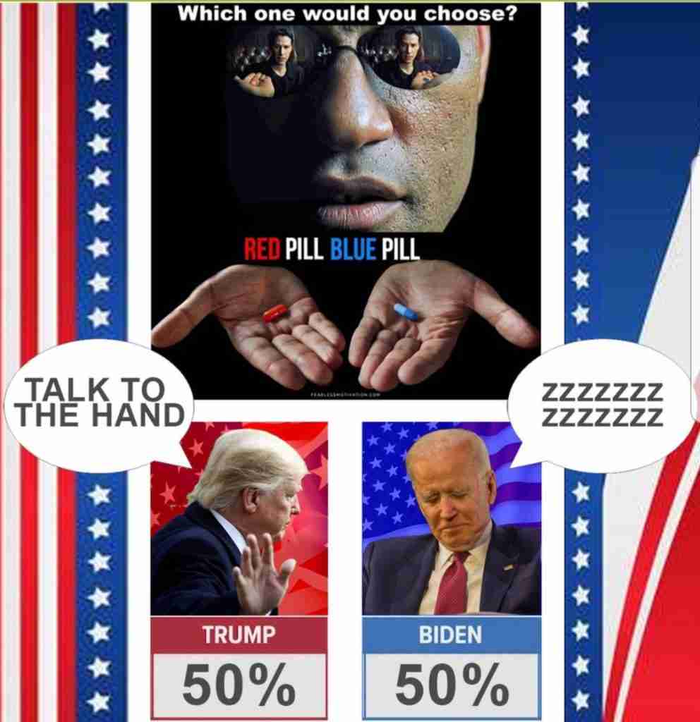 Election Day 2020 Memes 27