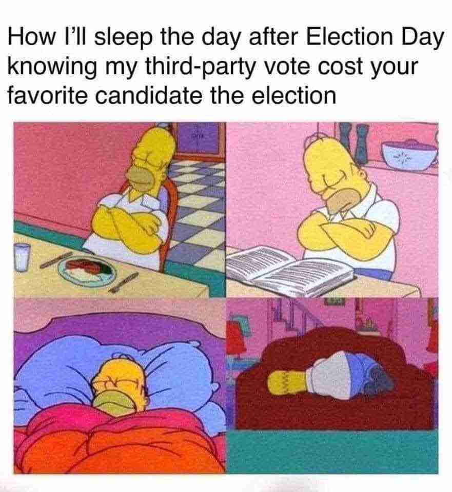 Election Day 2020 Memes 28