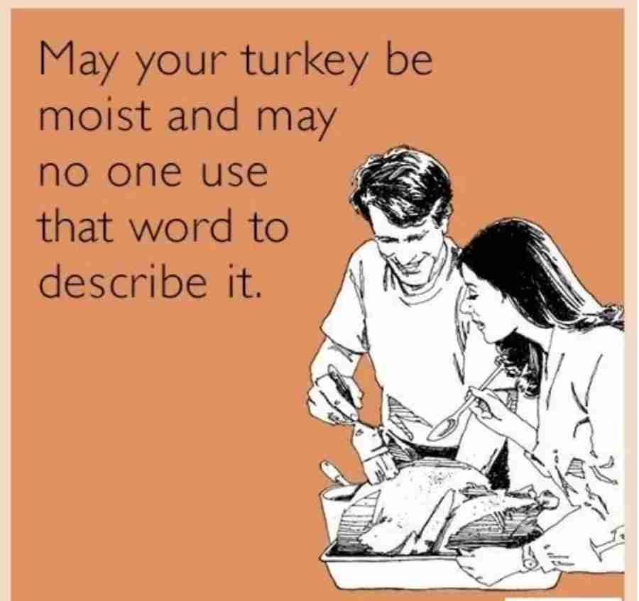 may your turkey be moist on thanksgiving