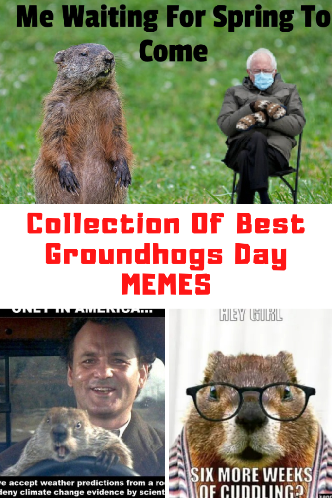Groundhogs Day Memes 2021