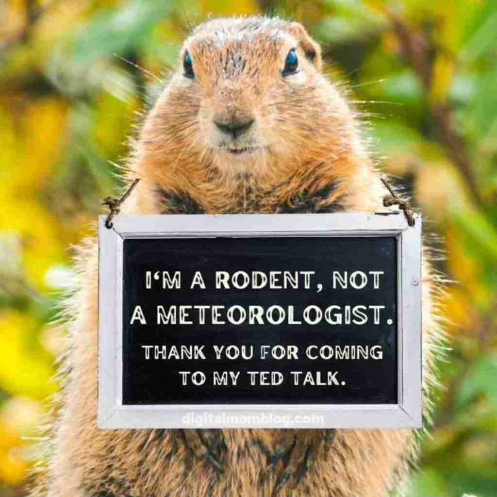 rodent not meteorologist