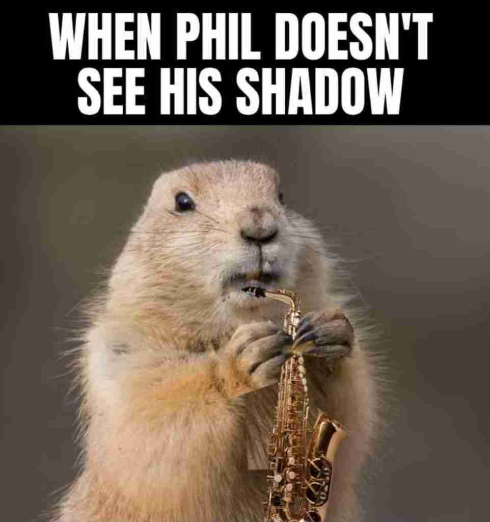 Groundhogs Day Phil does not see shadow
