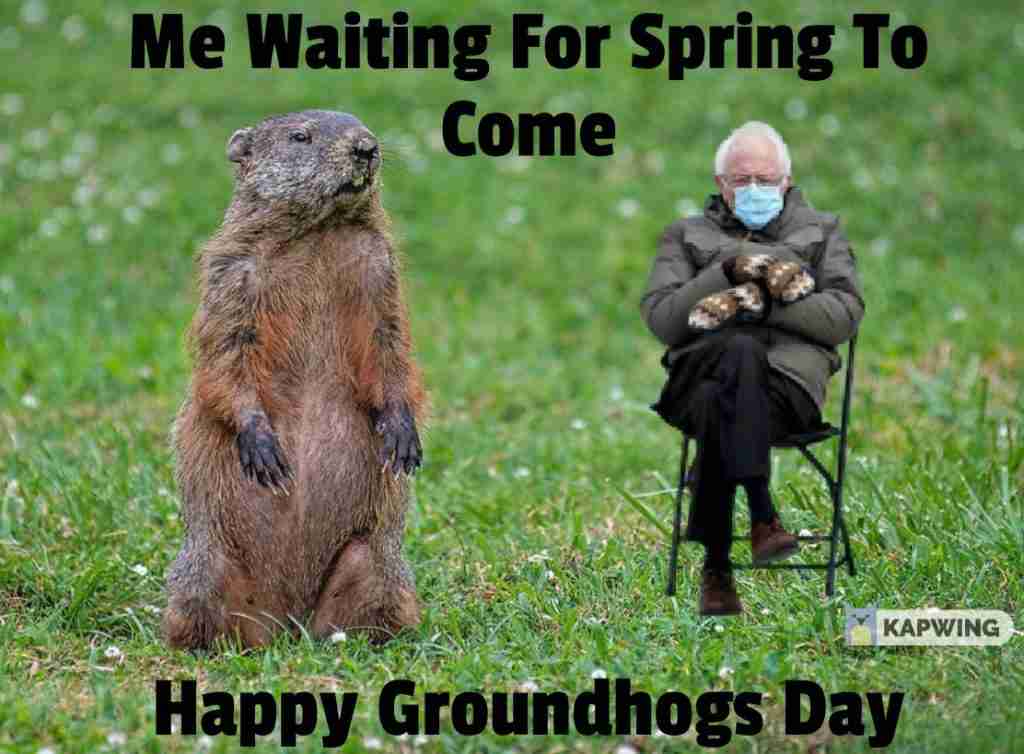 Collection Of Groundhogs Day Memes 2021 - Guide For Moms