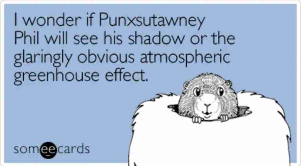 Punxsutawney Phil see shadow