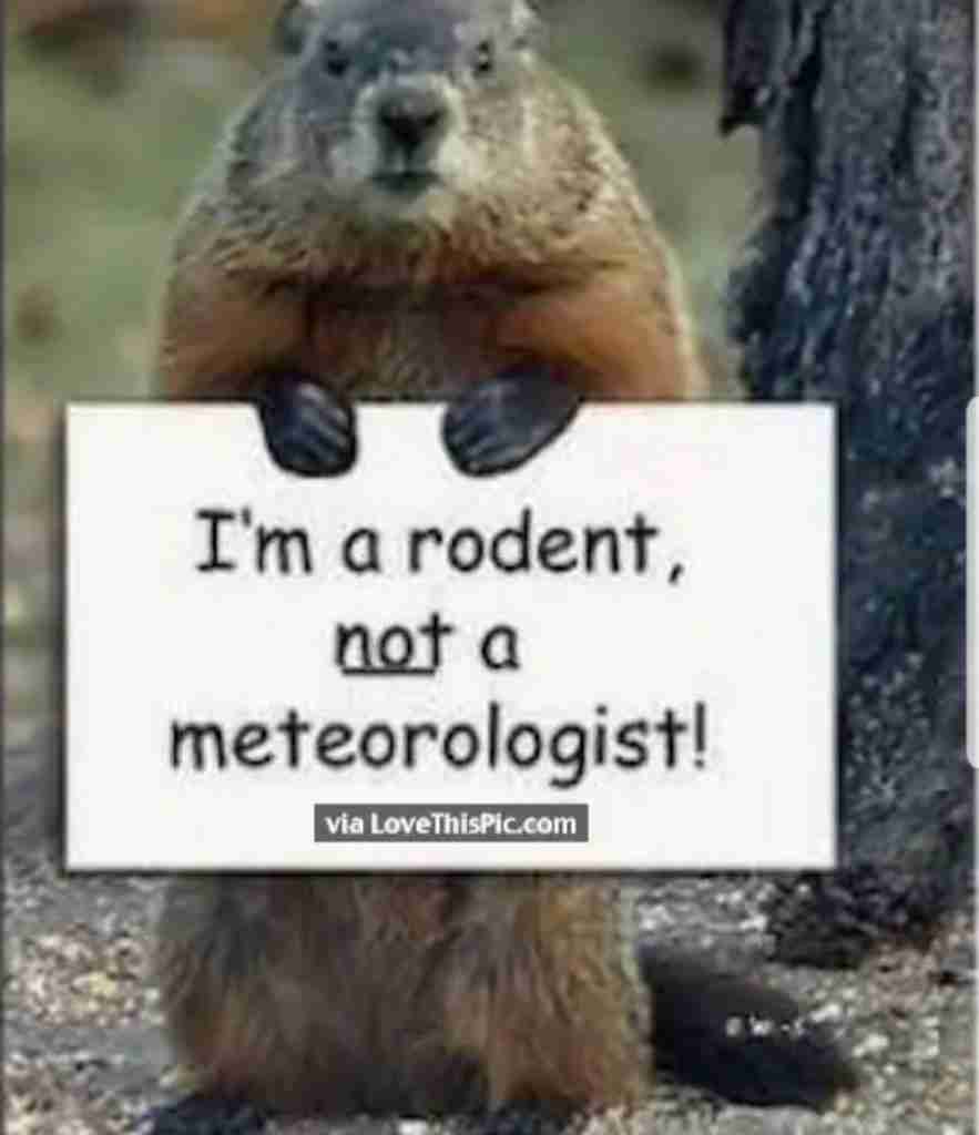 Groundhogs not a meteorologist