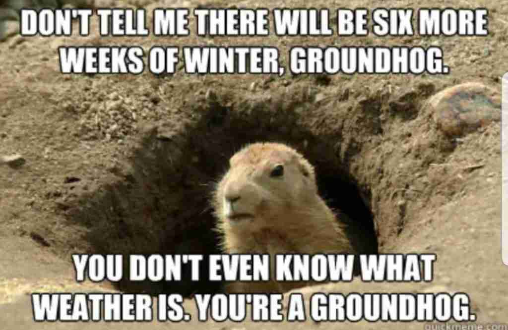 Groundhogs Day 6 more weeks of winter