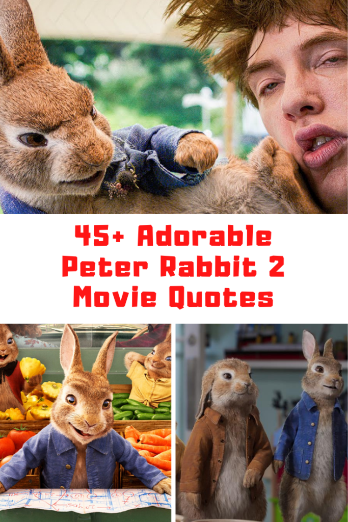 Peter Rabbit 2: The Runaway Quotes
