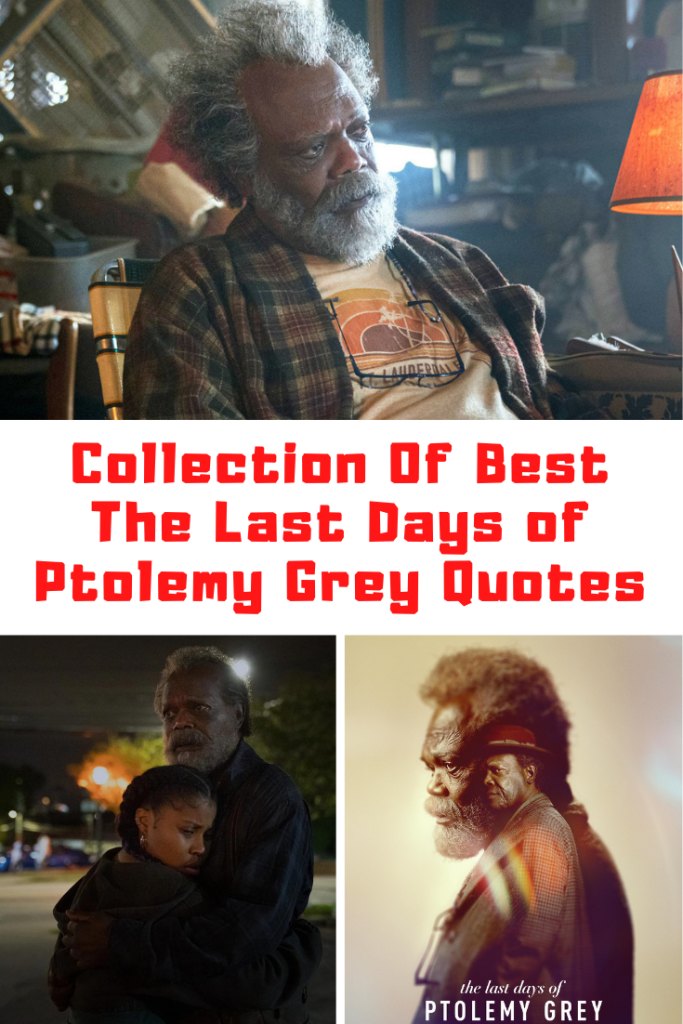 The Last Days of Ptolemy Grey Quotes
