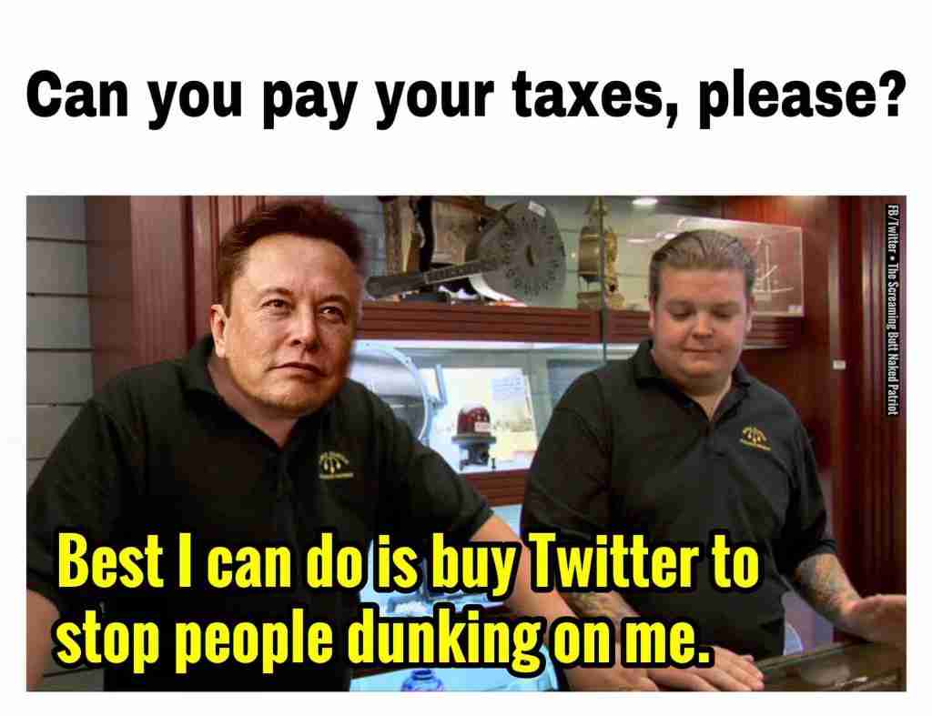 Elon Musk Buys Twitter Memes