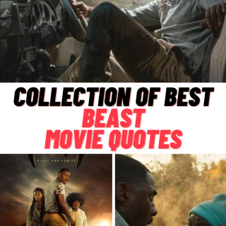 Beast Movie Quotes