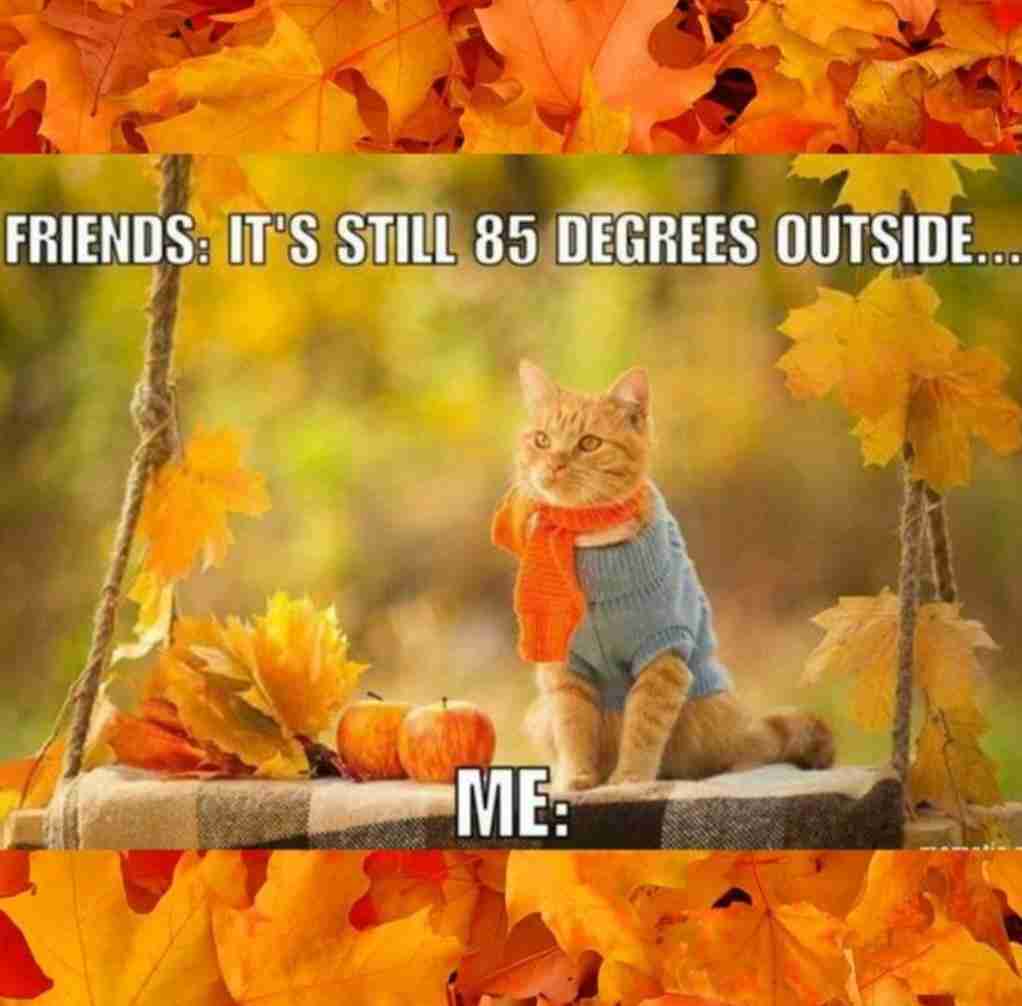 First Day of Fall Memes
