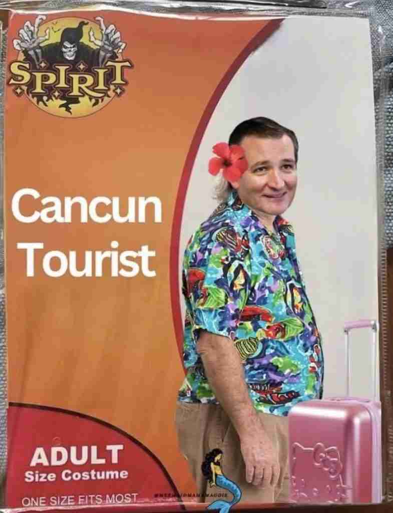 cancun ted cruz Spirit Halloween Costume Memes