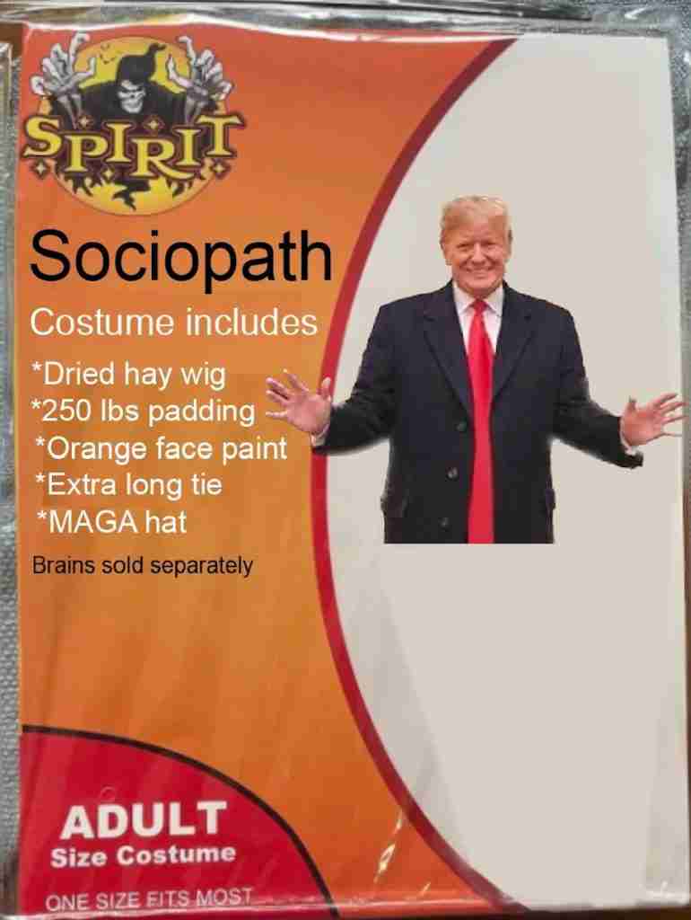 sociopath donald trump Spirit Halloween Costume Memes