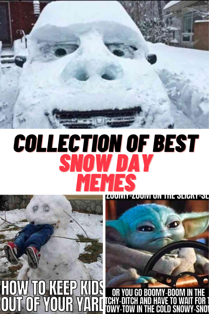 Collection of Funny SNOW DAY MEMES - Guide For Geek Moms