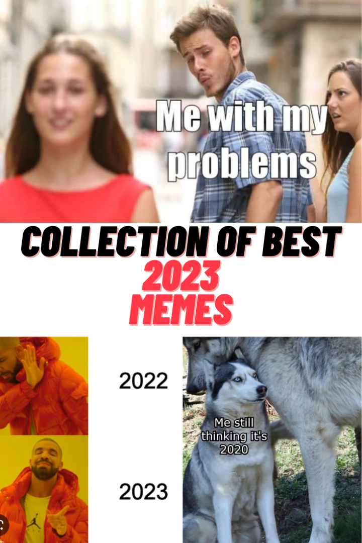 New Memes 2024 - Luci Simona