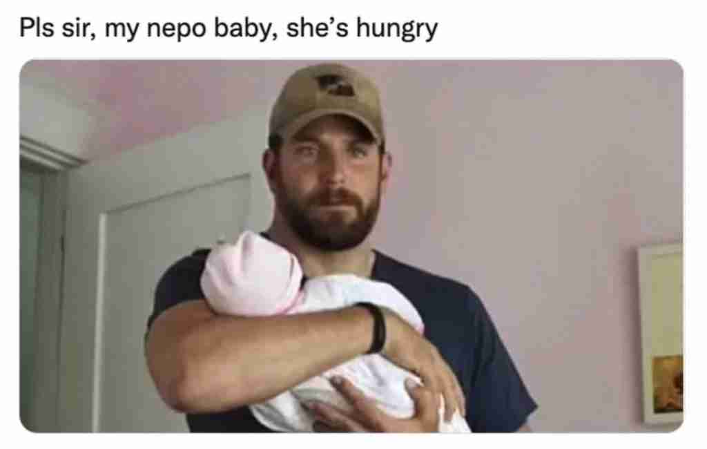 Nepo Baby Memes