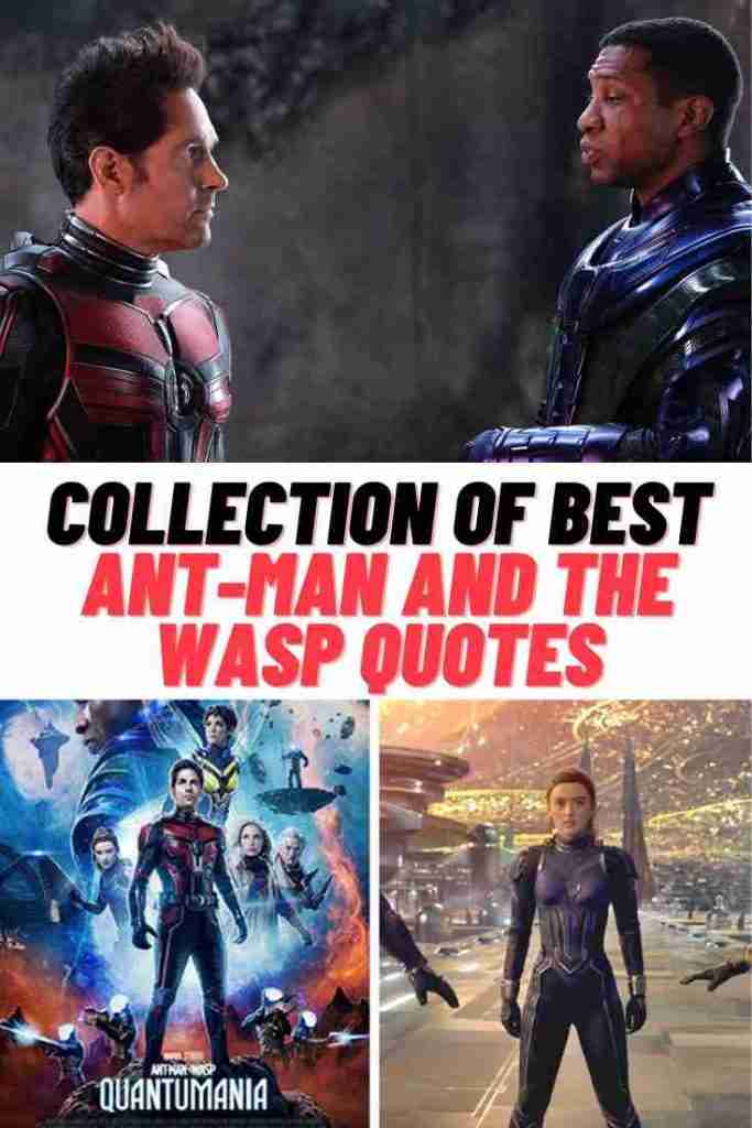 95+ Ant-Man And The Wasp: Quantumania Quotes - Guide For Geek Moms