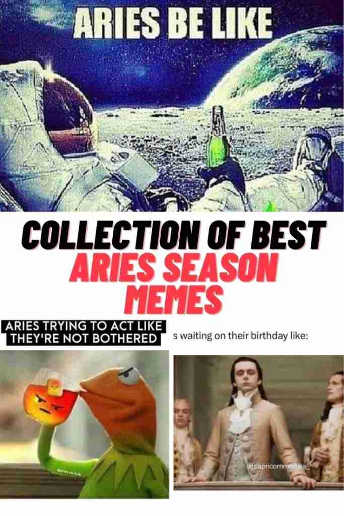 Aries Memes
