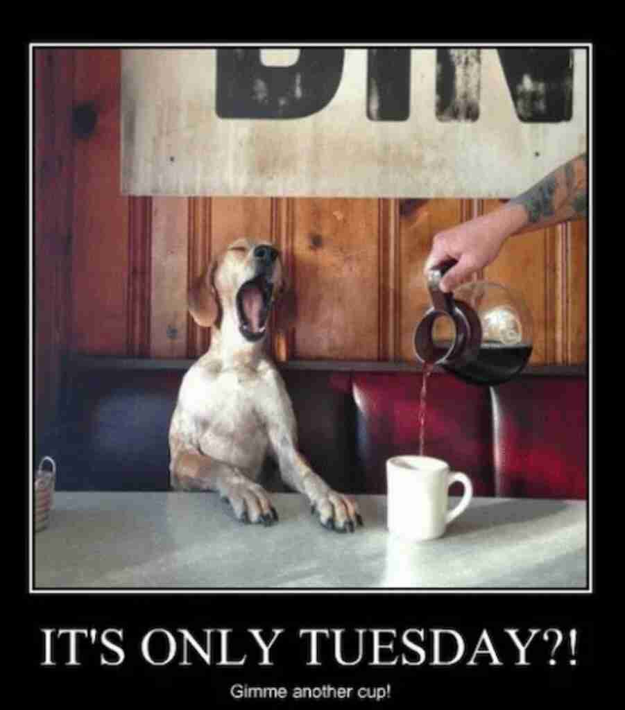 only tueday more coffee