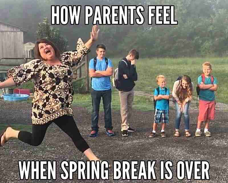 Spring Break Memes