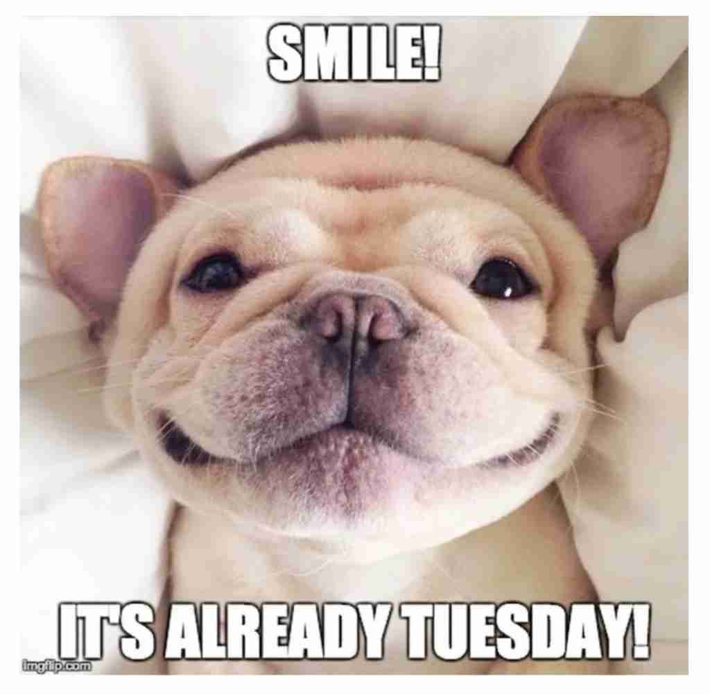 smile it is tuesday