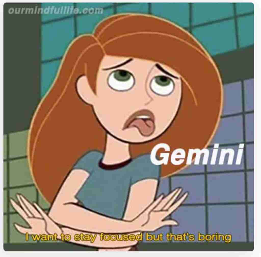Gemini Memes