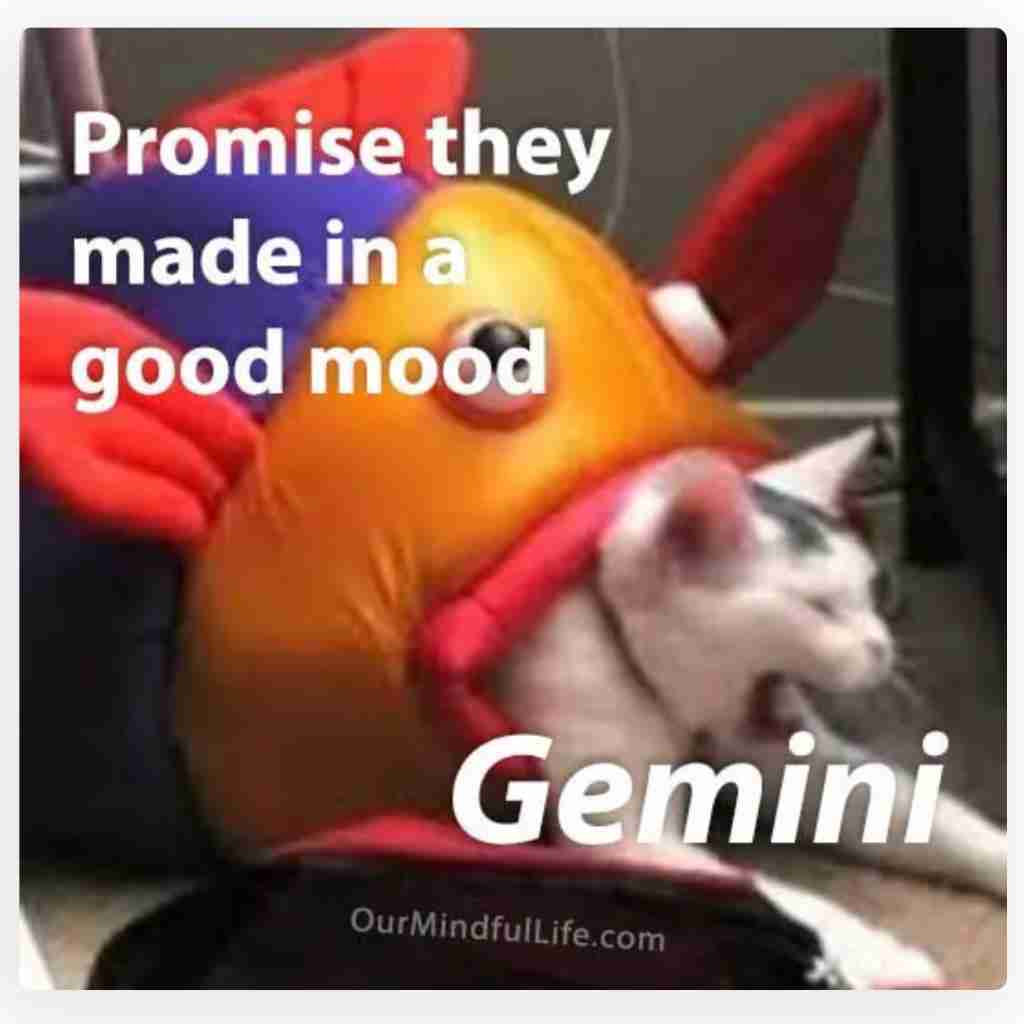 Gemini Memes