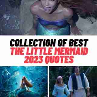The Little Mermaid 2023 Quotes