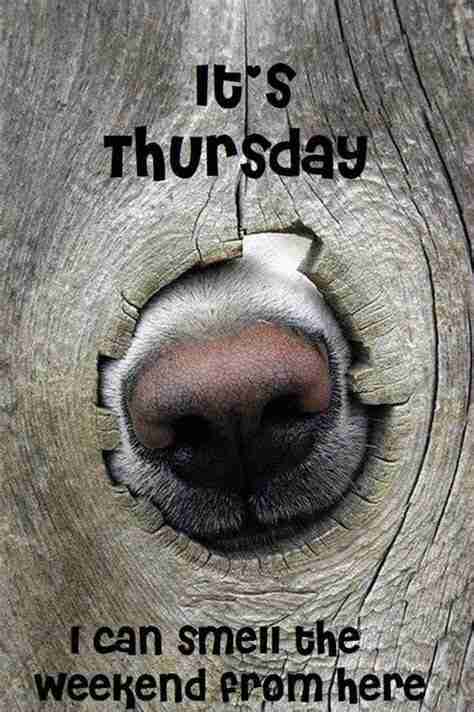 Thursday can smell weekend