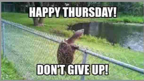 happy thursday dont give up