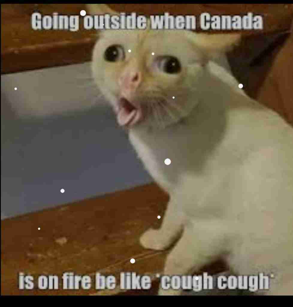 Canadian Wildfires Memes