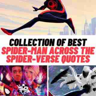Spider-Man: Across The Spider-Verse Quotes