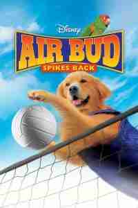 Best Volleyball Movies Air Bud Spikes Back
