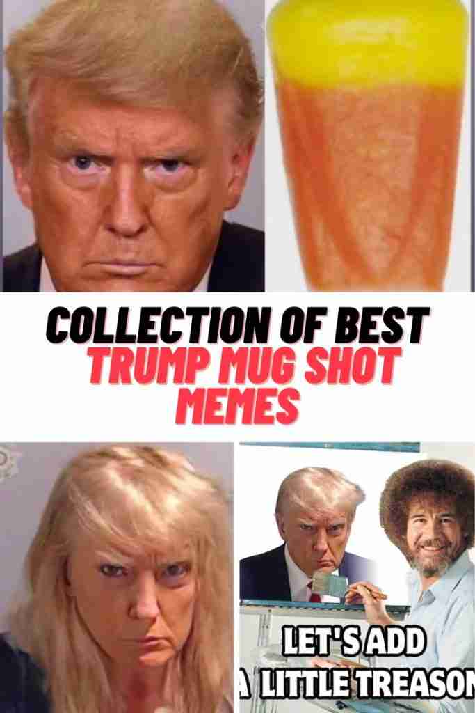Trump Mug Shot Memes