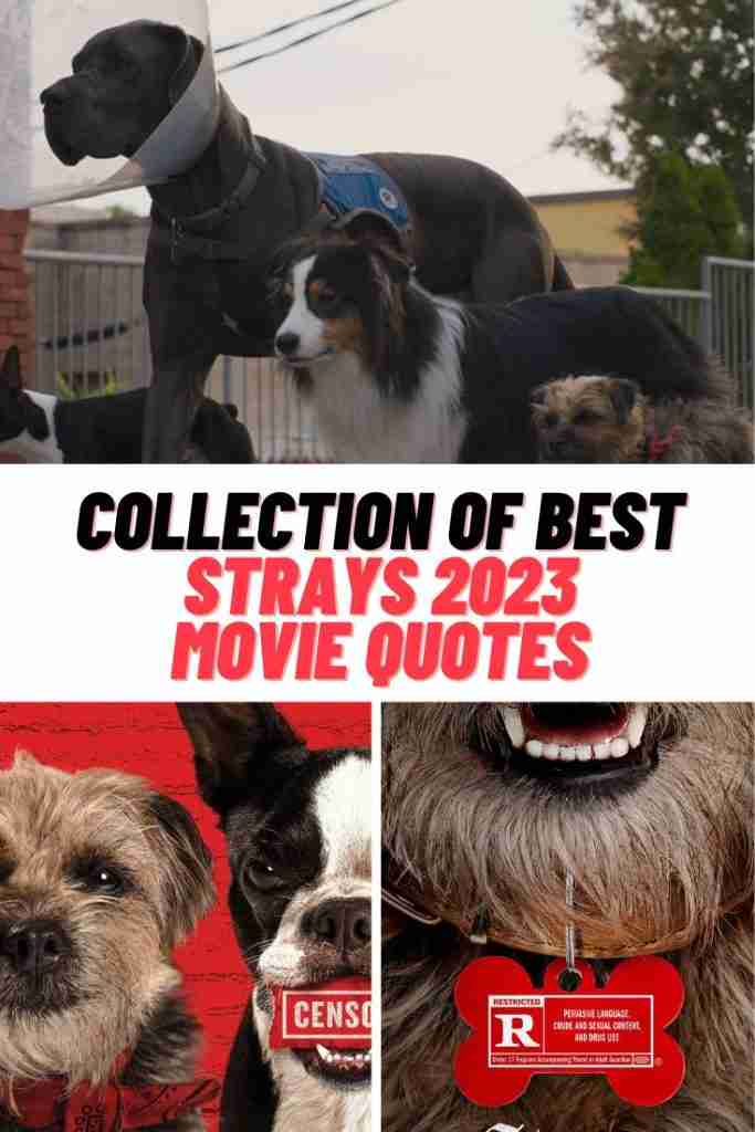 Strays 2023 Movie Quotes