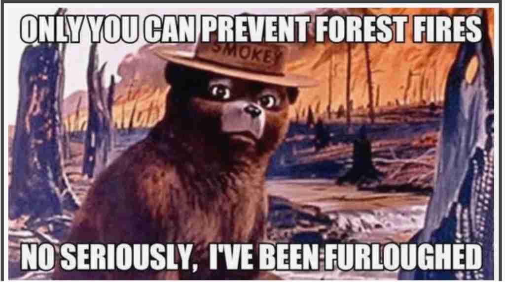 Government Shutdown memes smokey bear