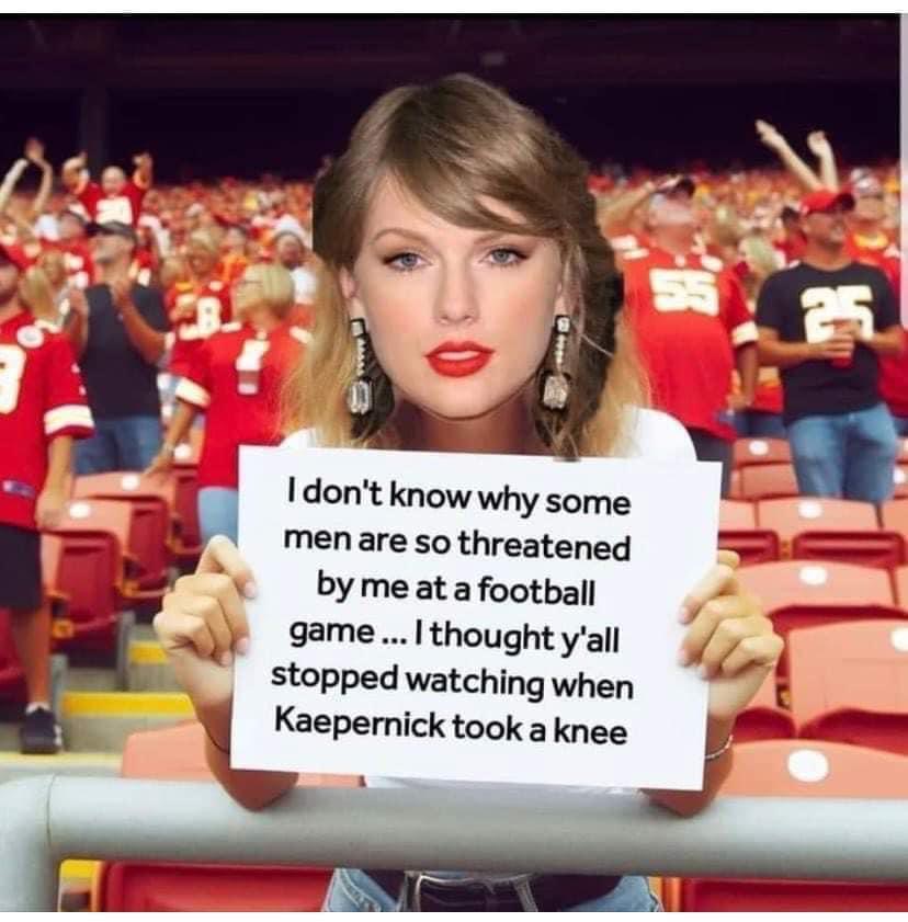 Taylor Swift Haters Memes