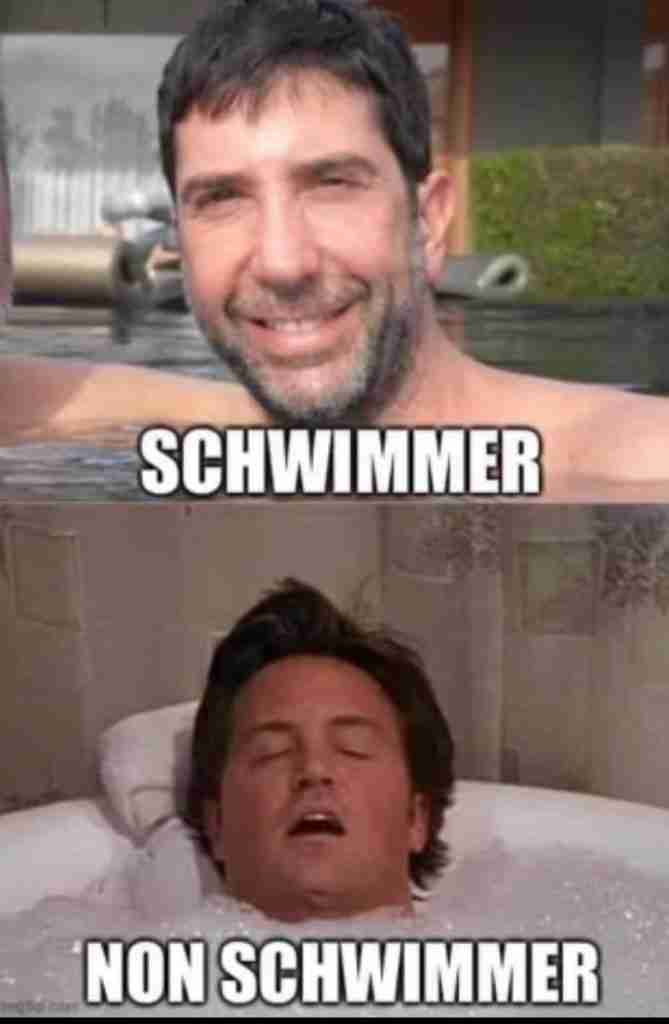 chandler not schwimmer