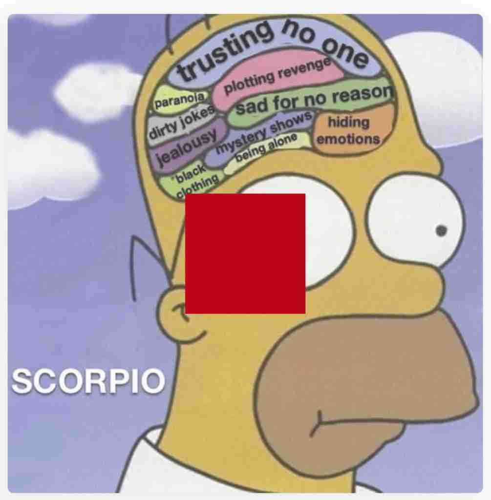 what goes on in scorpios head