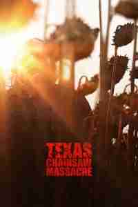 Texas Chainsaw Massacre movie poster Best Serial Killer Movies on Netflix