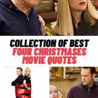 Four Christmases Movie Quotes