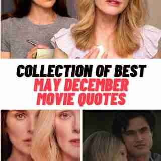 May December Movie Quotes